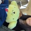 nicolepickle885